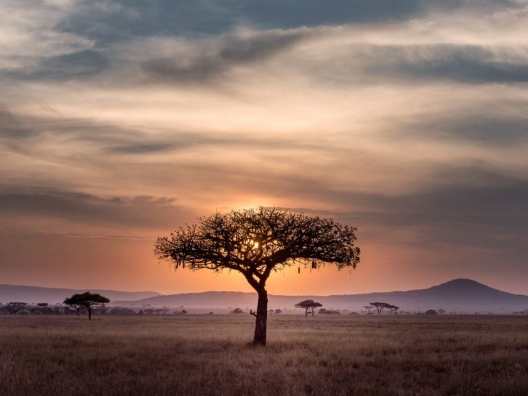 The top 13 safest African countries to visit