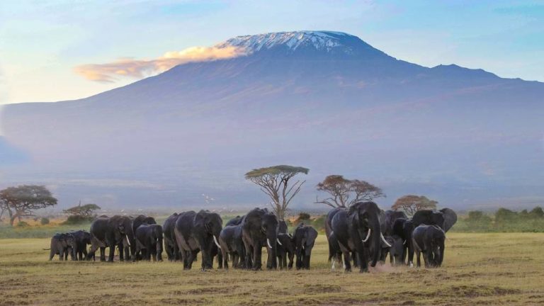 10 Most Famous landmarks in Africa you need to visit