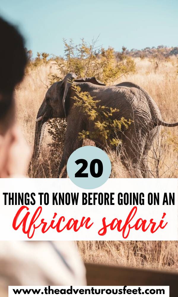 Planning to go for an African safari? Here is everything you need to know| things to know before going on a safari | African safari tips for first timers| tips for an African safari|what to know before going on a safari| safari tips for Africa| what to do on a safari| what not to do on an African safari| first time safari tips| hoe to prepare for an African safari #africansafaritips #tipsforafirstsafariinafrica #theadventurousfeet #africansafari