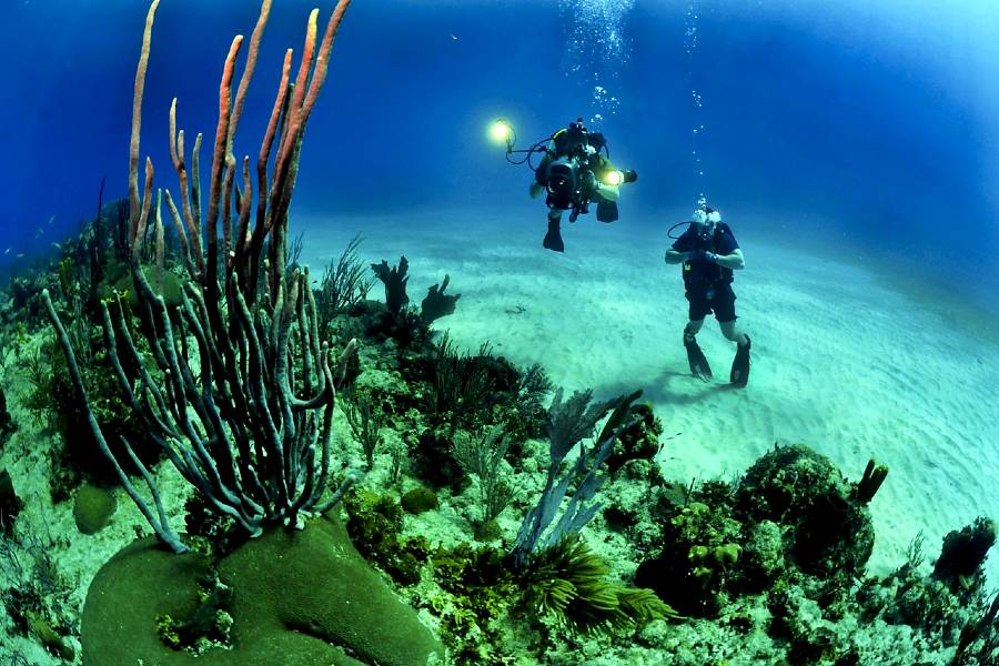 Diving is one of the bucket list adventures ideas